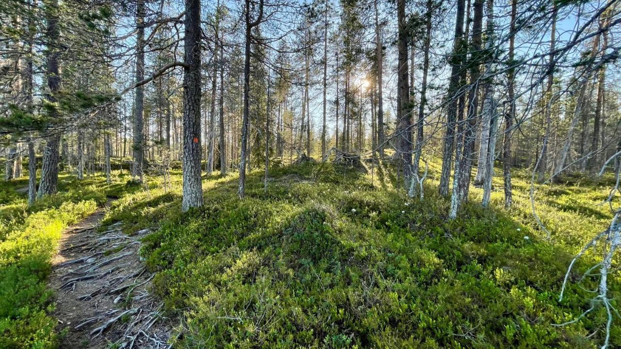 فندق Lapiosalmi Wilderness Center بوسيو المظهر الخارجي الصورة