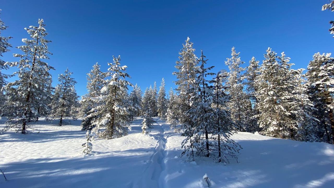 فندق Lapiosalmi Wilderness Center بوسيو المظهر الخارجي الصورة